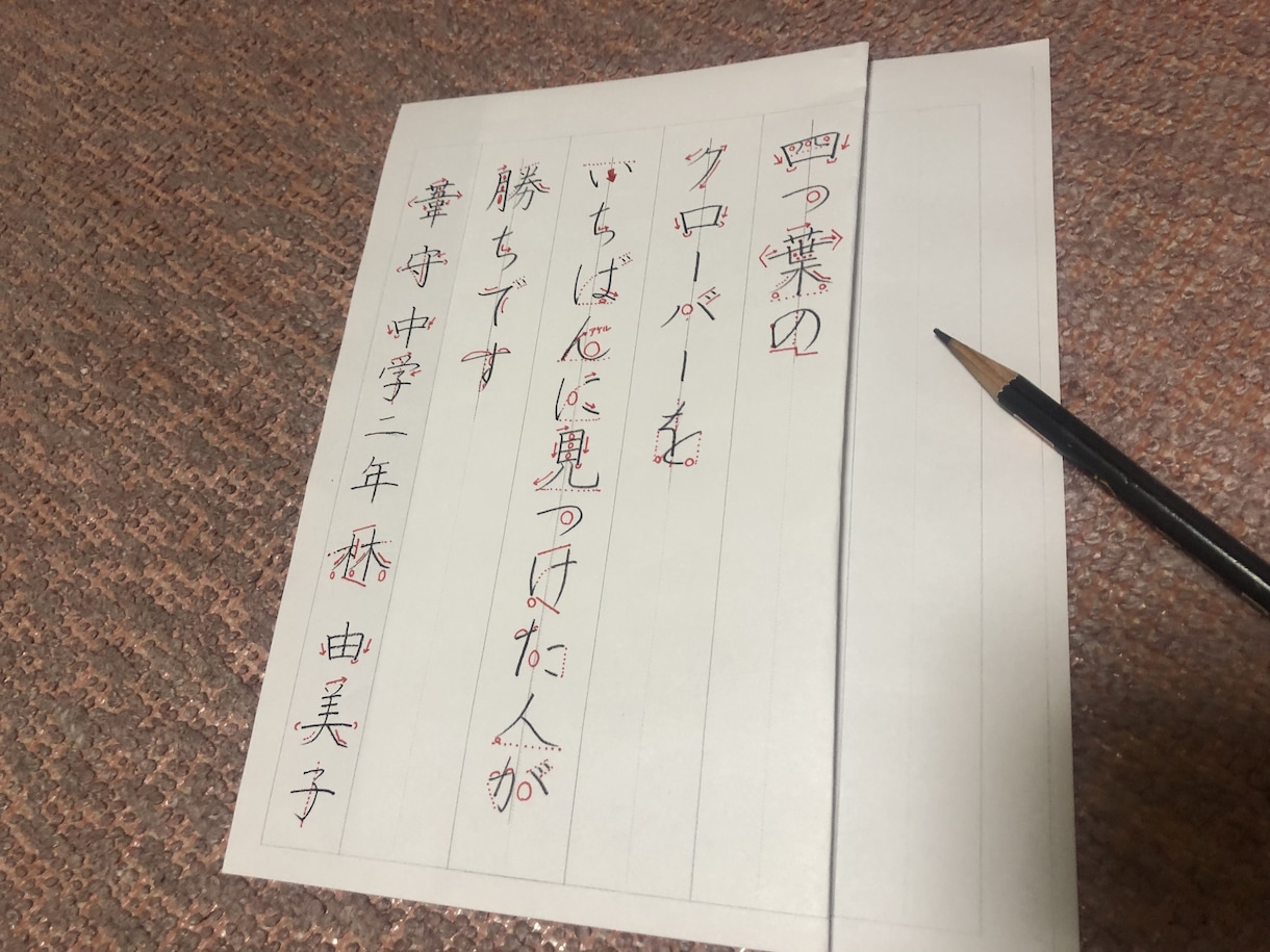 硬筆ペン習字のお手本を作成します 書きたい文字や文章を、楷書で、ご自宅で練習ができます！ イメージ5