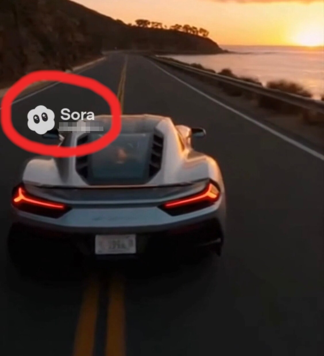 Sora2で生成した動画の透かし消します Sora2のウオーターマーク完全消去１本のみ無料で除去 イメージ1