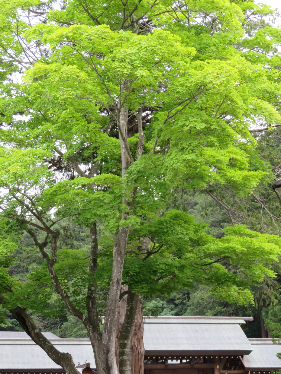 お金に関するご相談や悩みをなんでも承ります フリーランスFPの家計診断・お悩み相談室（簡易版）です。 イメージ1