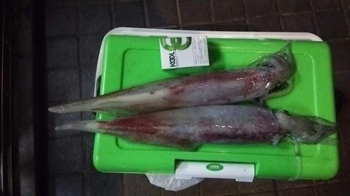 釣り初心者の方へ 希望に合わせてアドバイスします 釣歴30年の私が道具、エサ、釣り方、場所などアドバイスします イメージ7