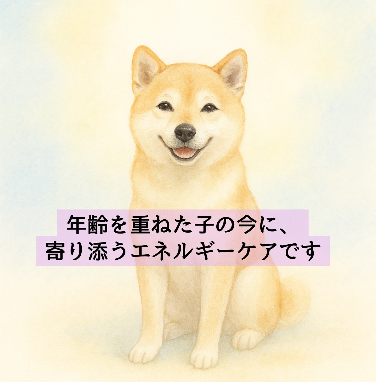シニア犬猫専門｜遠隔レイキヒーリングをお届けします 高齢のわんちゃん・ねこちゃんのための優しいヒーリングケア イメージ2
