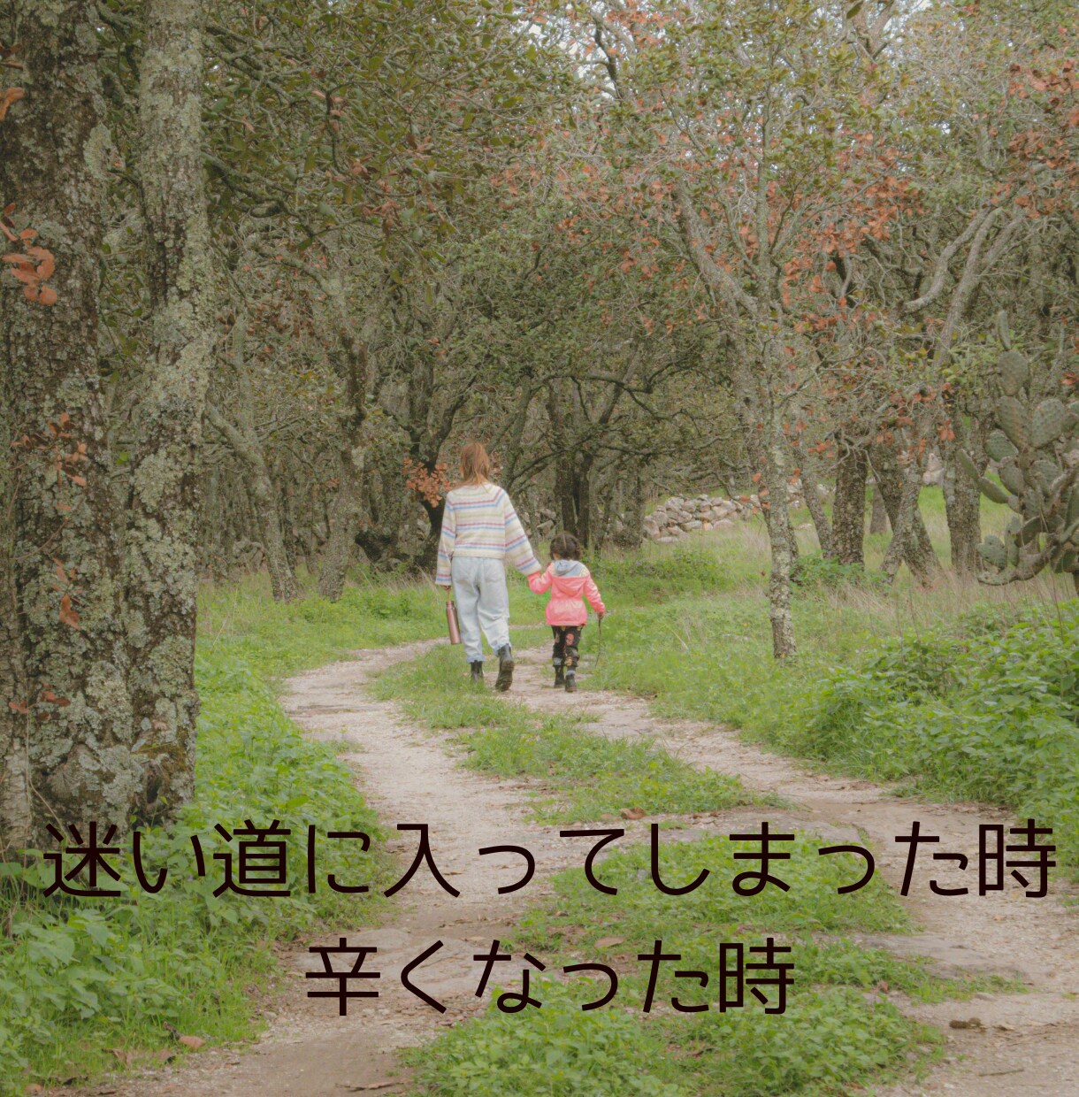 女性限定♡気持ちを整理♪そのままを大切にします あなたの悩みに寄り添いながら、心の負担を軽くするお手伝いさん イメージ3