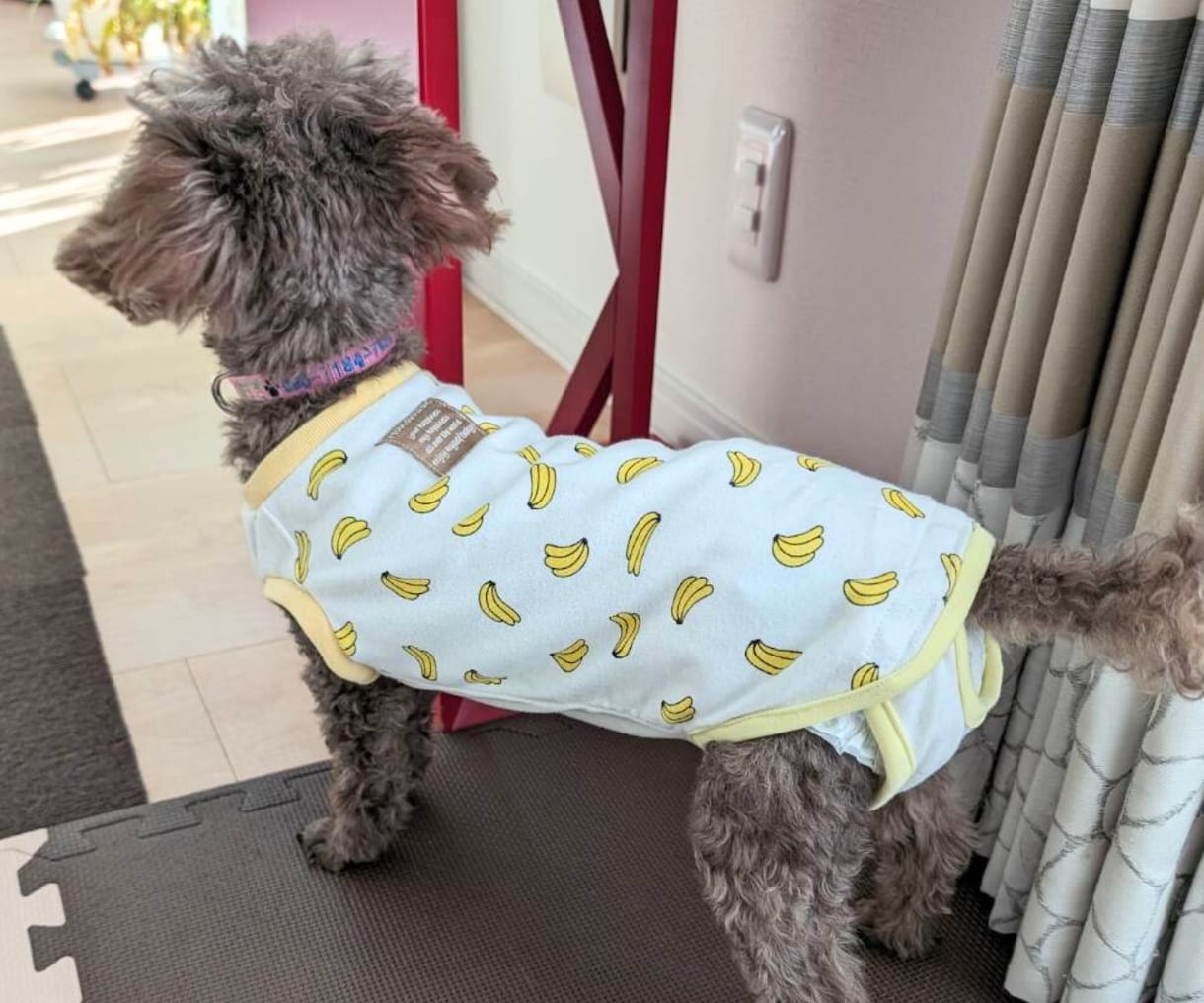 お客様の「こんな犬服が作りたい！」に情報提供します 年間130着製作する犬服屋からのノウハウシェアサービス イメージ4