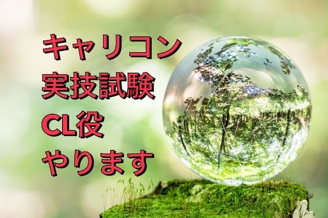 キャリアコンサルタント実技試験CL役お手伝いします 何度もロープレをやりたい方に！ロープレ2回+口頭試問付き イメージ1