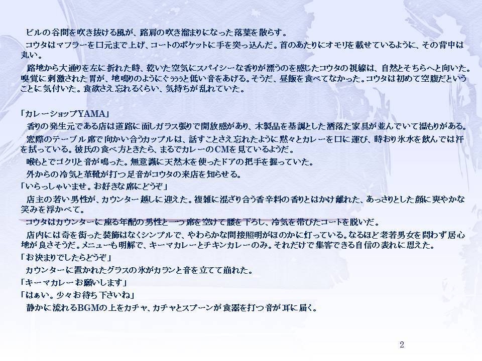 商品や企業をPRするための小説を執筆します 起業、新商品、地域の魅力をPRしたいと考えている方へ イメージ3