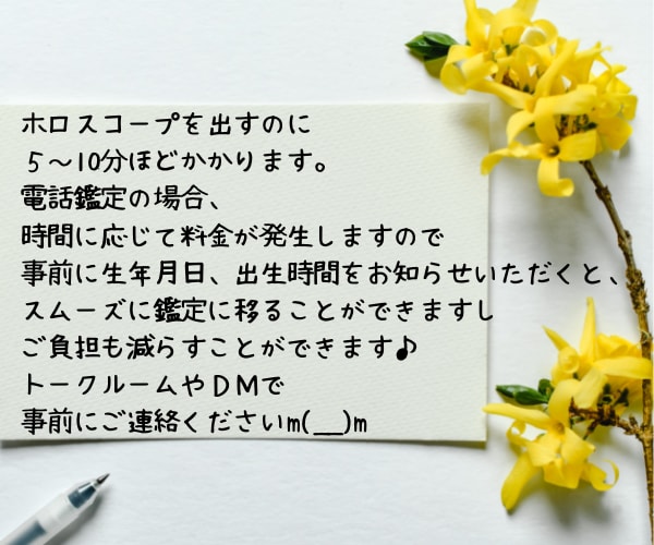 電話で総合鑑定☆ホロスコープから宿命・天命占います 西洋占星術で魂の願い、人生の転機を丁寧に読み解きます イメージ2