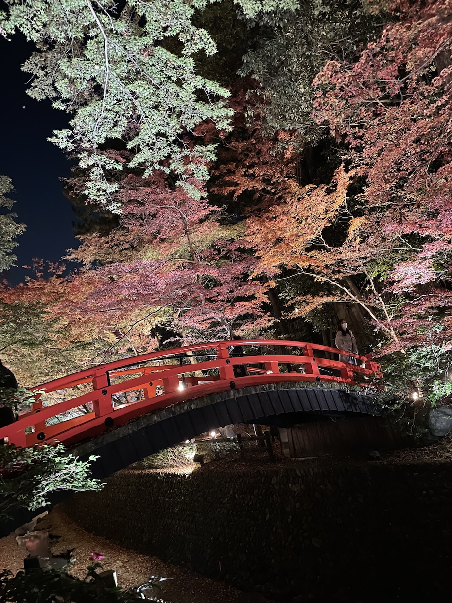 京都市内の観光地、穴場スポット写真代行致します 『コロナ禍でなかなか京都観光に行けない』という方に必見‼︎ イメージ2