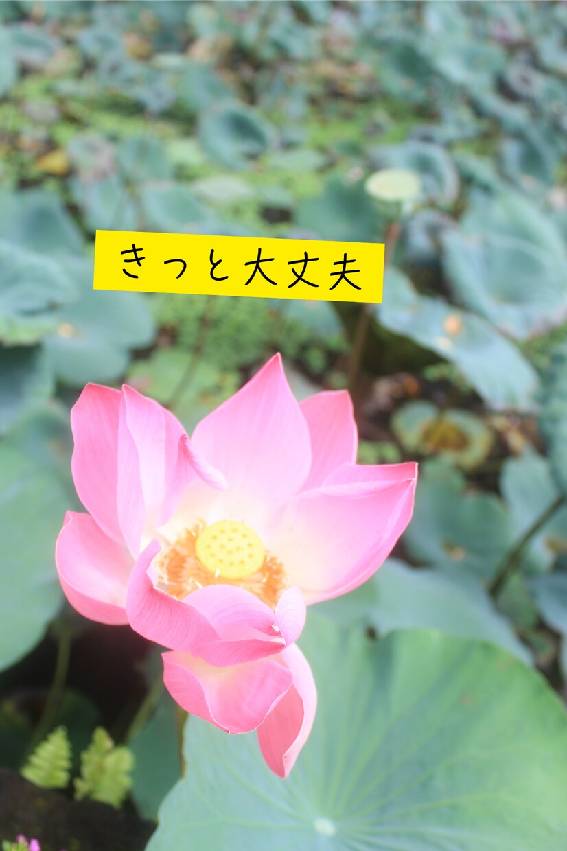 話がまとまってなくても大丈夫｜静かに話を聞きます ☘️あなたのあんしんできる場所☘️ イメージ4