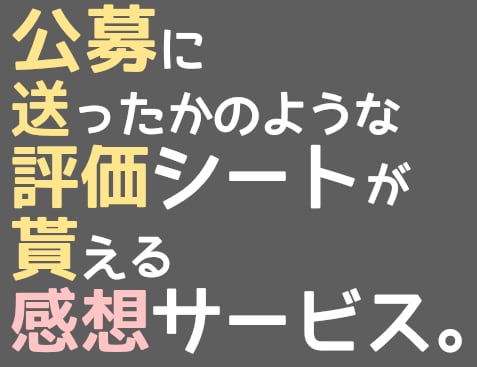 評価シート風な感想をお作りします 1度に2作まで可能！ベタ褒め～しっかり評価までお見積り是非！ イメージ1