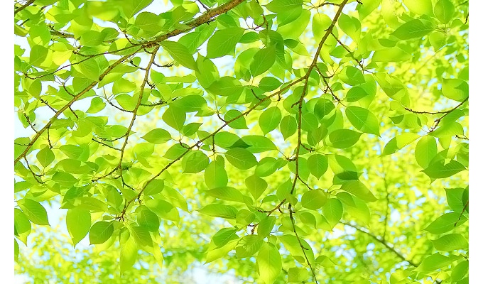 日々の気づきと思い込みの開放をお手伝いします 常に自分の中心に居られる“自分軸”ワークを一緒にしませんか？ イメージ1