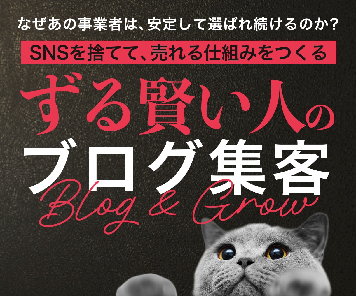 集客設計込み｜WordPressブログ構築します SNS・広告不要！ずる賢い集客の仕組みを作ります イメージ1