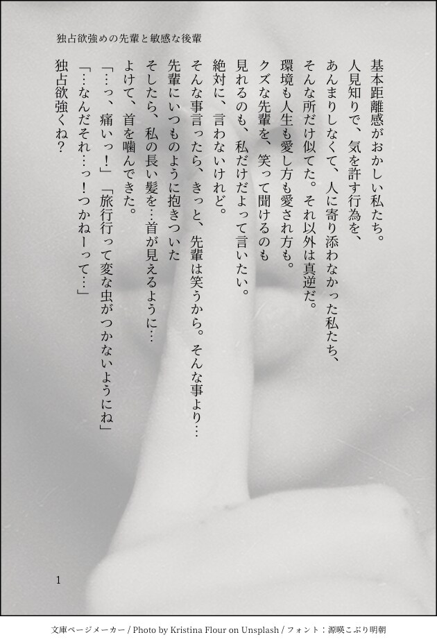 妄想を文字にしたい方！そんな方に小説を書きます あなたが望む理想を提供します！ イメージ6