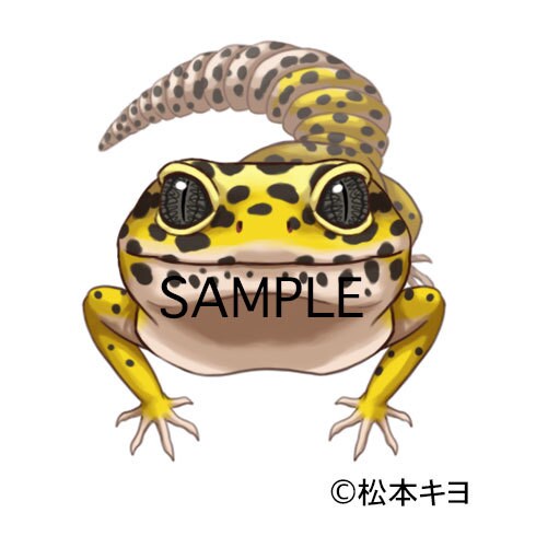 動物のイラストを描かせていただきます 爬虫類、両生類、哺乳類、鳥類、虫、海洋生物など イメージ3