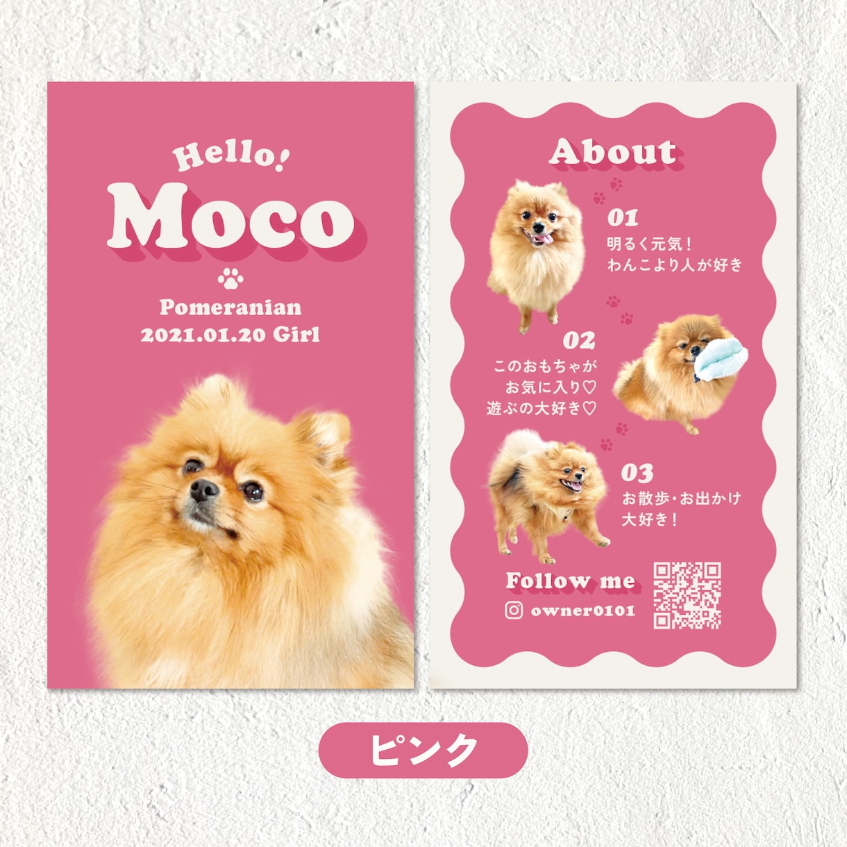 レトロポップなうちの子・ペット名刺制作します 100枚印刷代込み・送料無料！イベント・オフ会で大活躍！ イメージ7