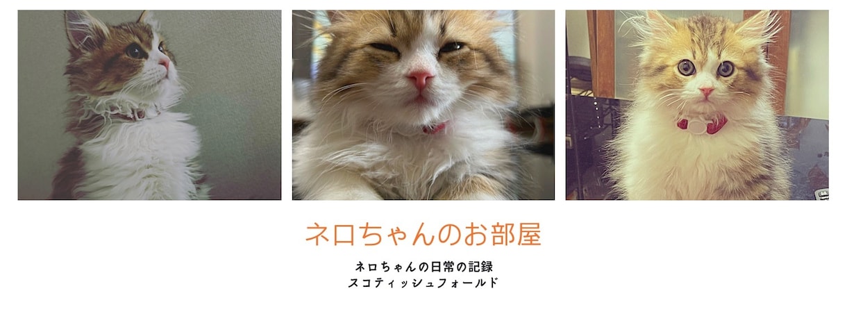 大至急"オシャレロゴ"作ります デザインでお困りの方へ最短当日納品のロゴ作成致します。 イメージ3
