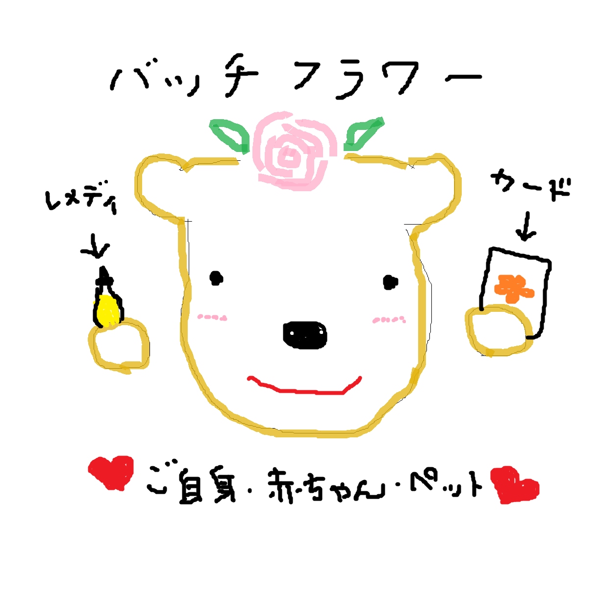 バッチフラワーレメディ✨カード✨悩み減少します 人間関係✨自然に整う♥️楽に幸せに✨子供＊小動物にも安心♥️ イメージ1