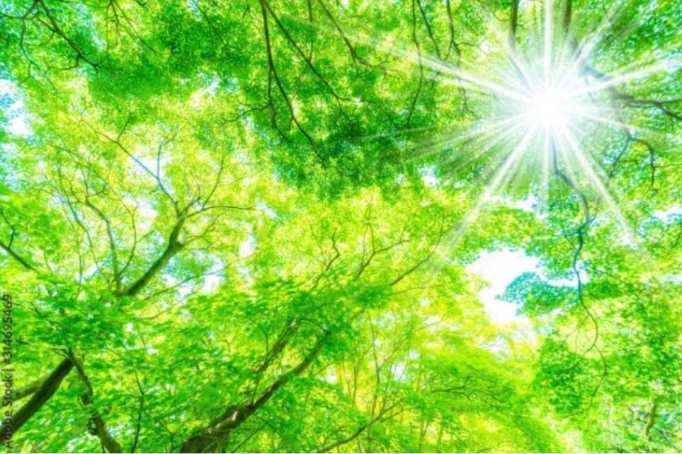 手相占いをします ⭐︎お聞きしながらお電話でお話ししていきます。 イメージ6
