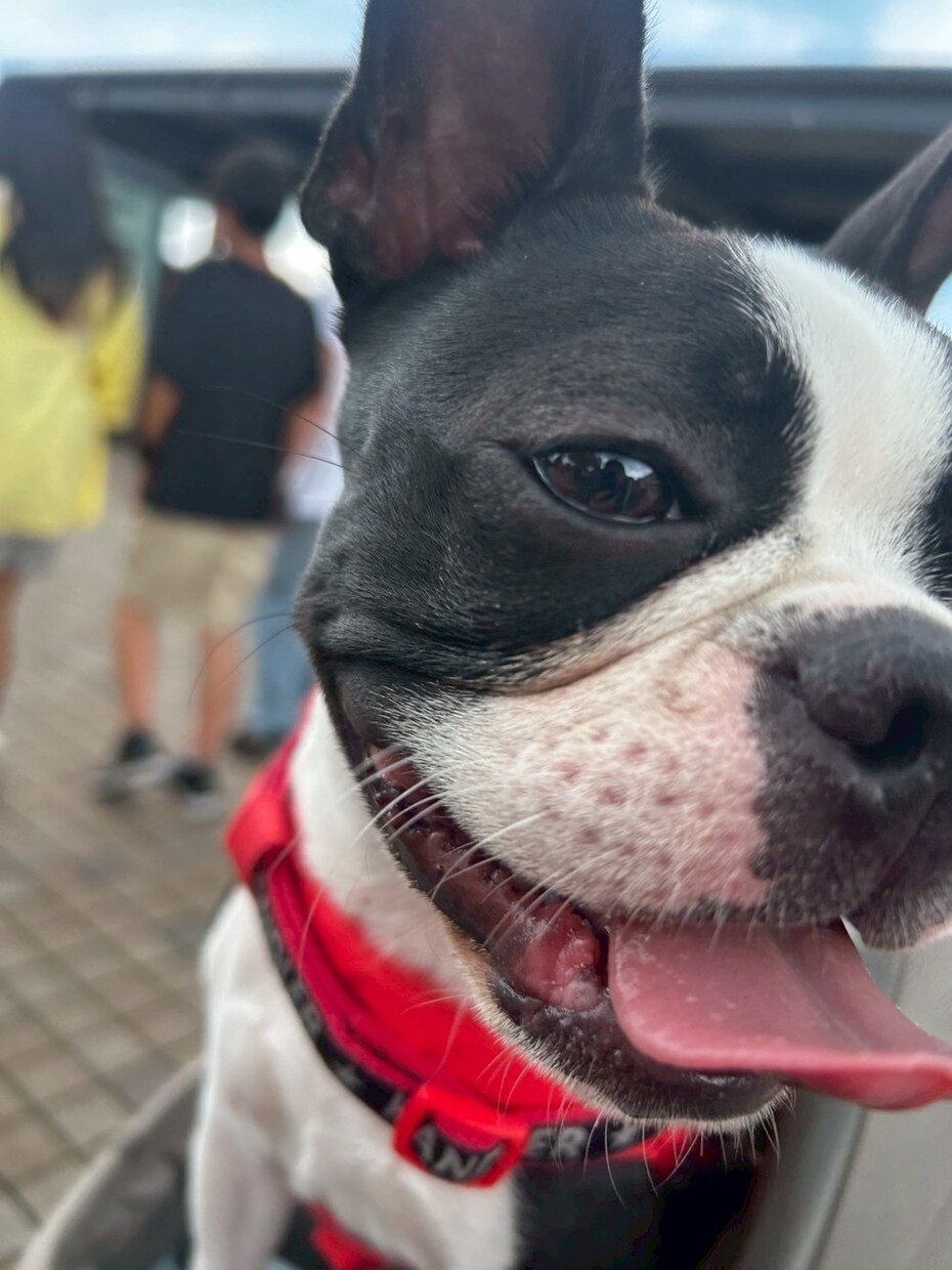 心の悩みに寄り添います 再婚以外はだいたい経験してます☺️ イメージ2