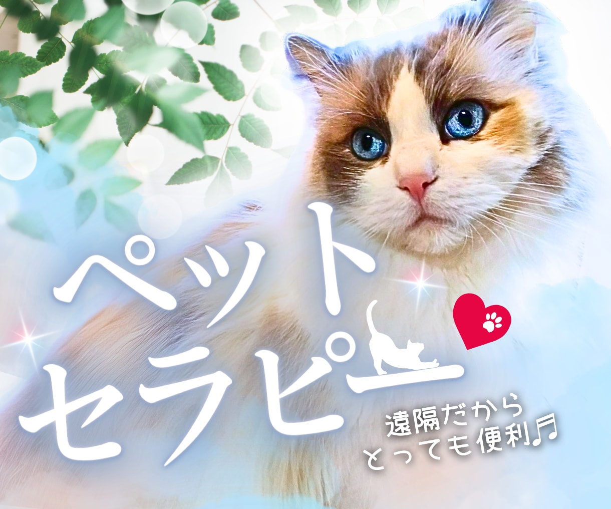ジャンルを問わず遠隔でペットセラピーします あなたのペットの目の輝きにご注目ください。 イメージ1