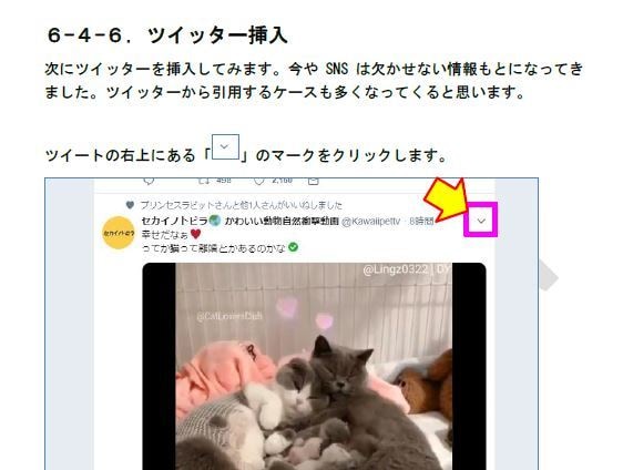 一人でできるWordpress構築手順書お渡します 「自分で一から作ってみたい！」を全力で応援するレポートです！ イメージ7