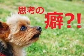 心理カウンセラーが思考の癖を修正！気分を楽にします 電話＜辛い気分から、早く抜け出したい方へ⭐️＞ イメージ1