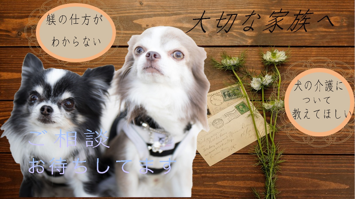 愛犬のしつけ、疑問などご相談にのります 愛犬のことをもっとたくさん知りたい方へ イメージ1