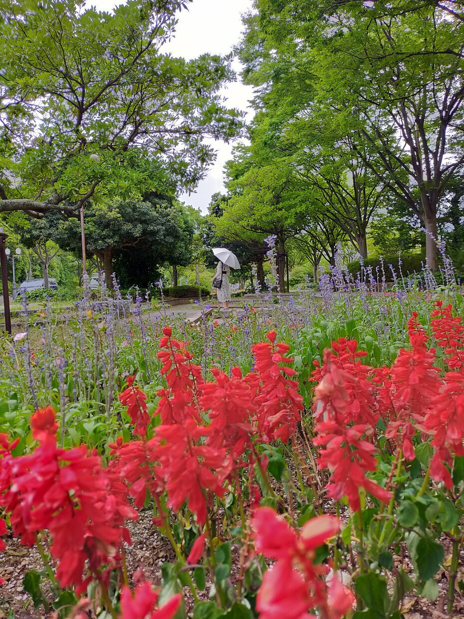 写真の撮影代行、福岡の風景・名物撮影します 現役写真部部長が撮影！みなさんを旅行気分、癒しを提供！ イメージ8
