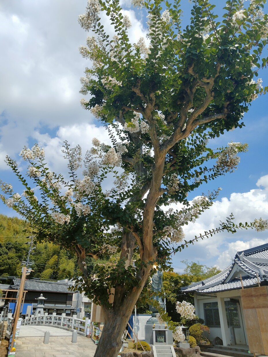 あなたのお話を聞きます 悩みを解決し希望の持てる方法を導き出します イメージ1