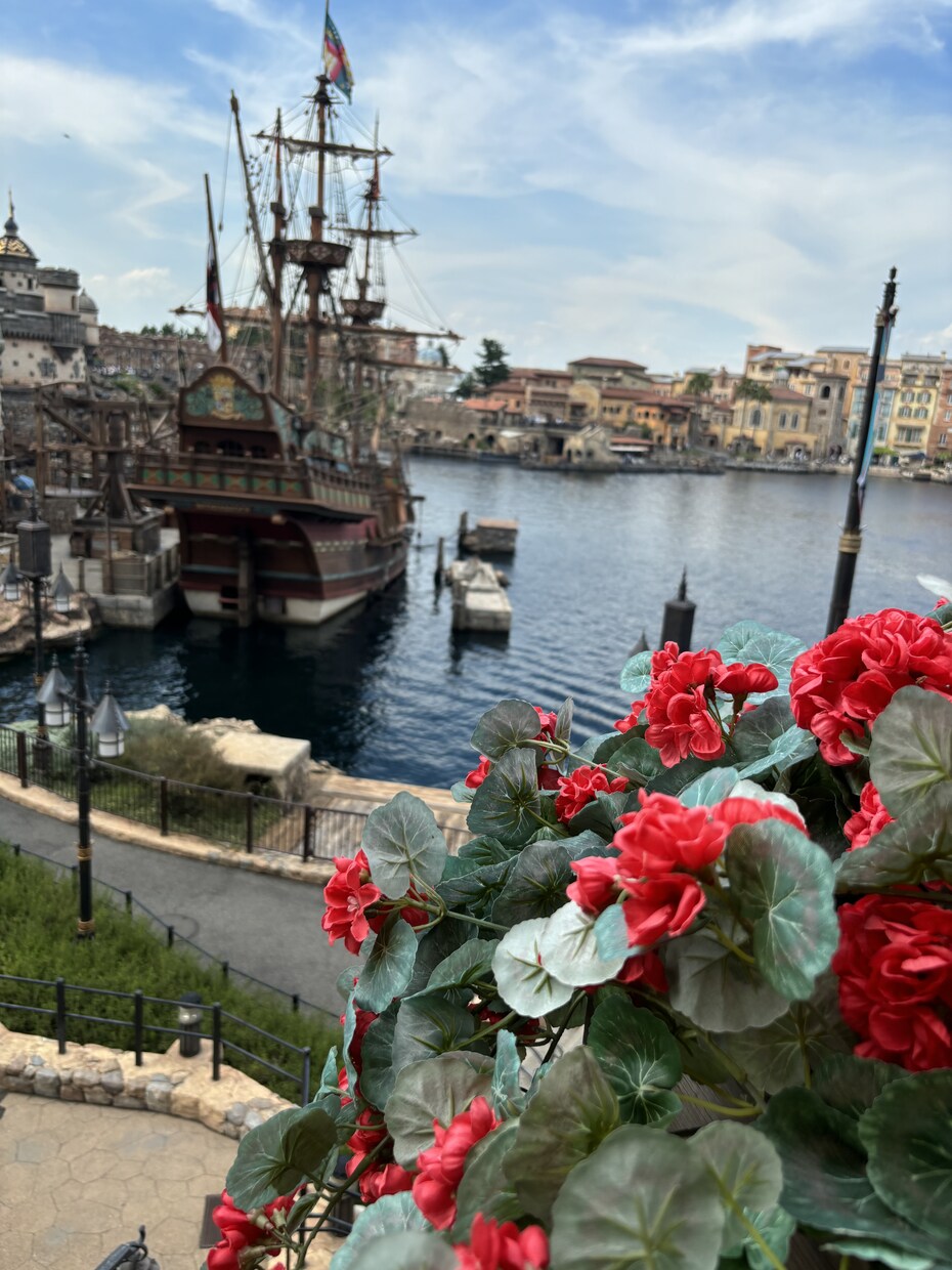 主にディズニーランド、シーの写真素材を提供致します まるで自分自身がその場に居るような一人称視点の撮影をします！ イメージ2