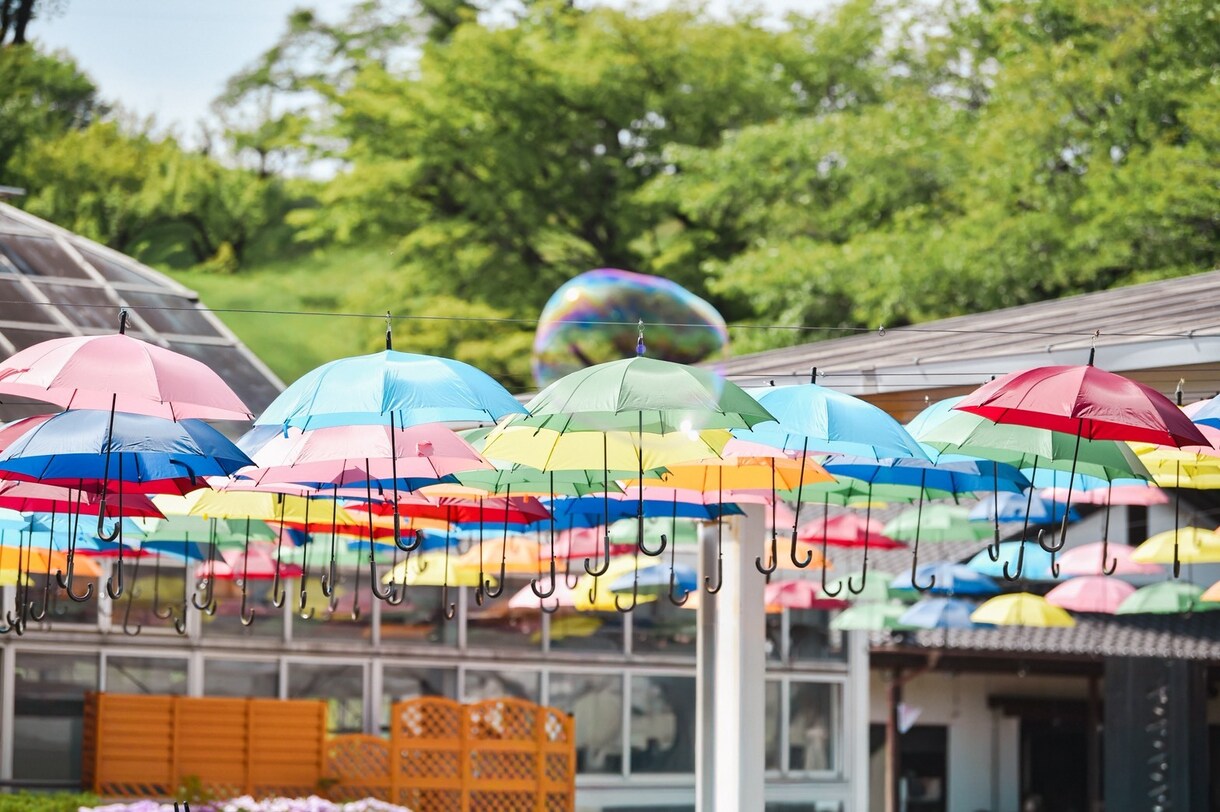 日常を生かしてオシャレな写真を撮ります 日常のスナップ風写真をお届けします イメージ5