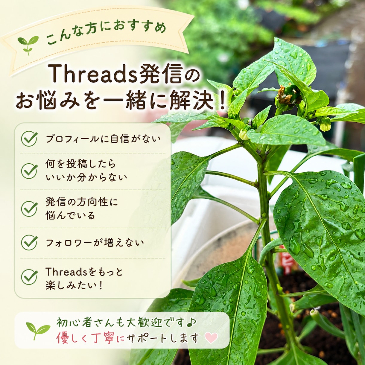Threadsプロフィールを優しく添削します SNS発信の「分からない」を一緒に解決します イメージ2