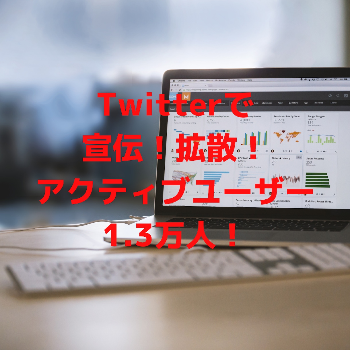 期間限定特価！Twitterで拡散します Twitterであなたの希望ツイートを3日間毎日拡散。 イメージ1