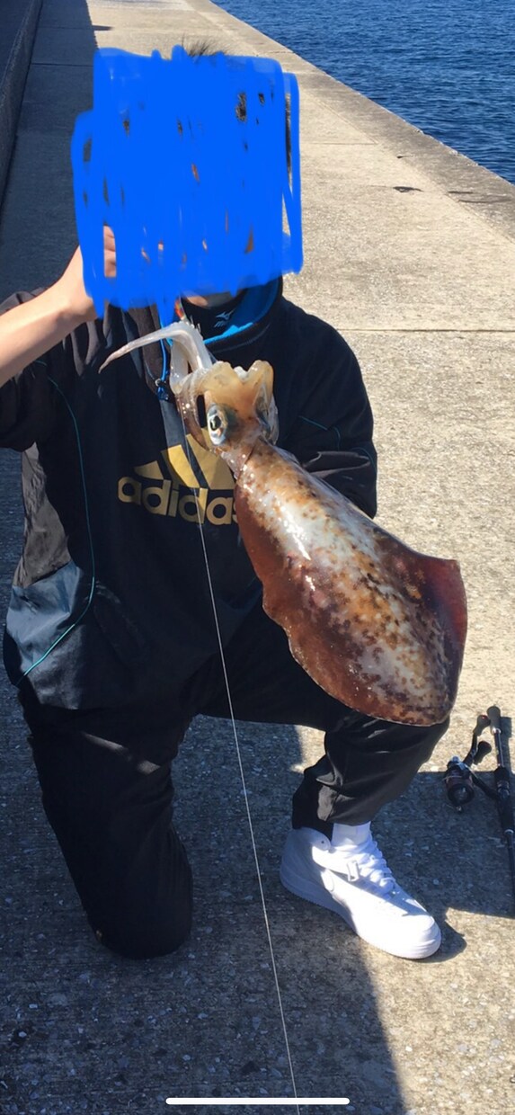 釣れない方必見！エギングでお悩みの方釣り方教えます エギングを始めたい方、なかなか釣れない方はどうぞ。 イメージ1