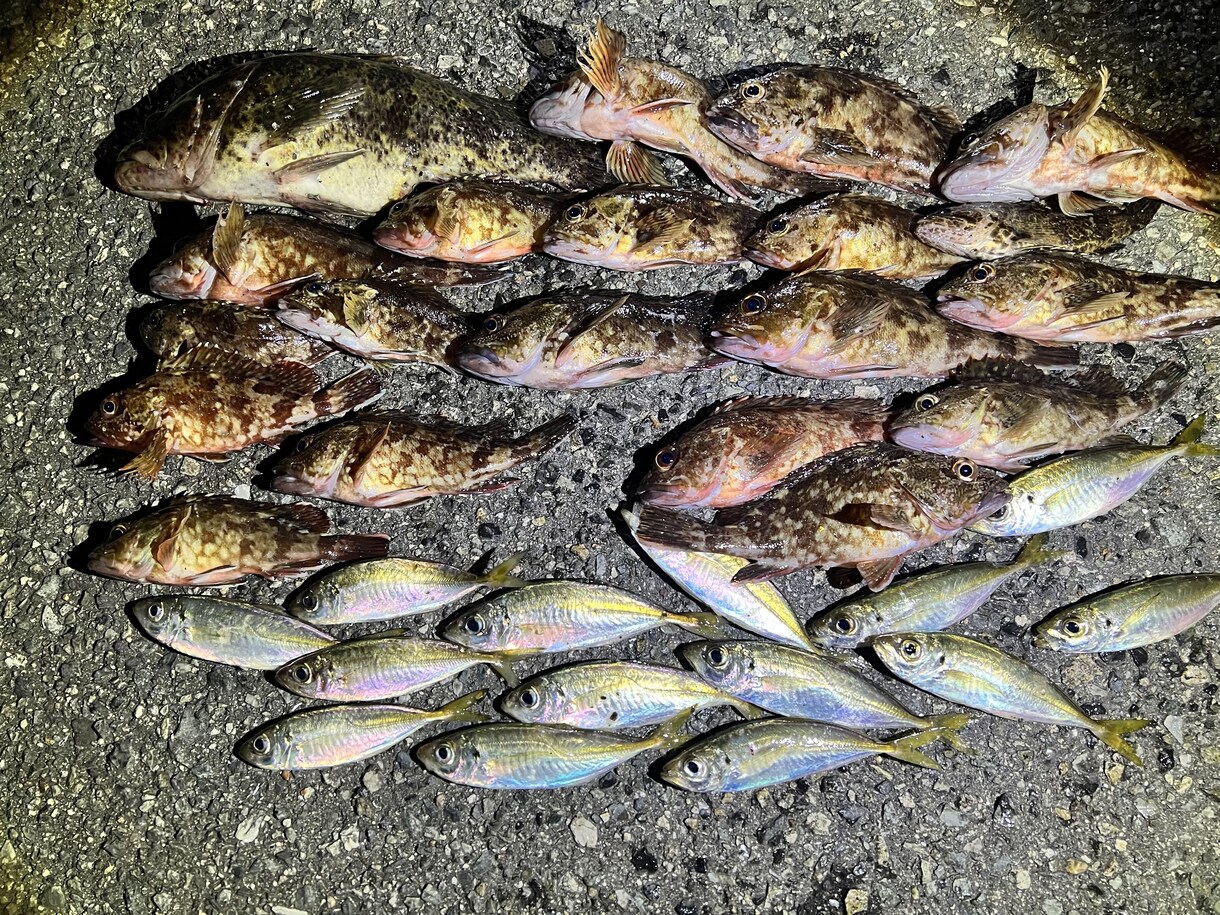 完全初心者向け！初めての釣具購入リスト作成します 釣り歴20年の私があなたに合った釣具をリストアップします！ イメージ1