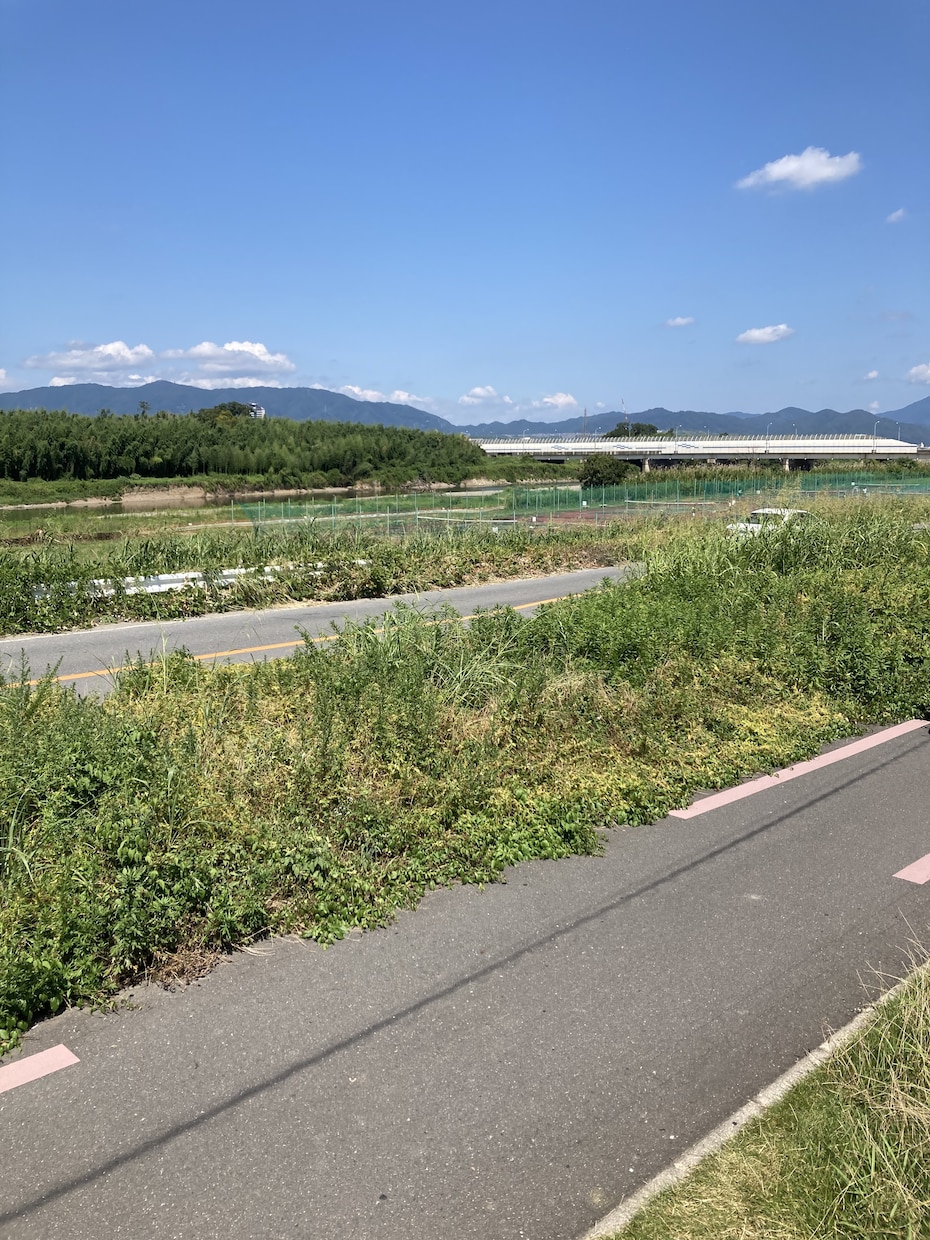 愚痴や悩み、恋愛相談、人間関係のお話お聞きます 心の声、いつでもここで。気軽に話せる安心のひととき イメージ7