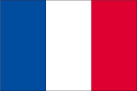 フランス語やフランスのことを現地在住者が教えます やりたいこと、目的に出来る限り沿って、分かりやすく教えます。 イメージ1