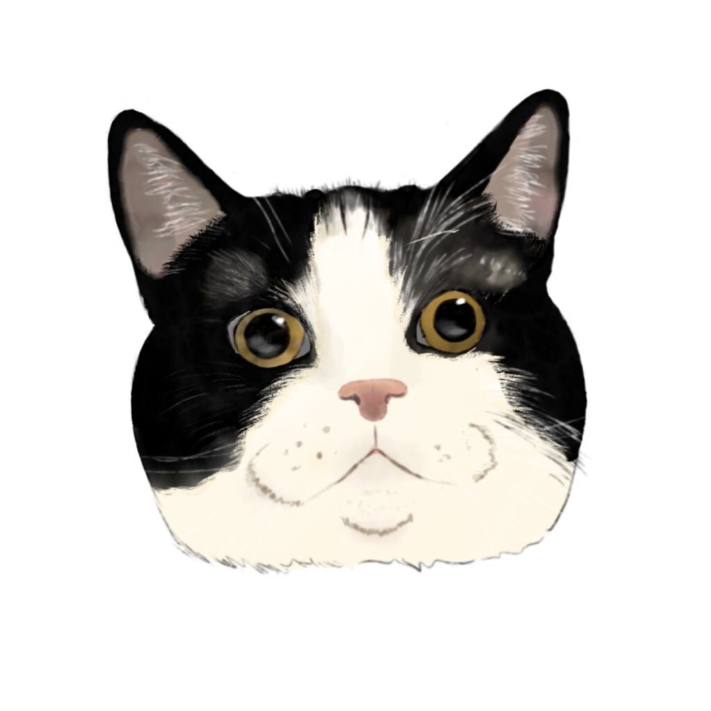 動物好きが、動物のイラストを丁寧にお描きします リアルなイラストでも、可愛いイラストでも可能です！ イメージ4