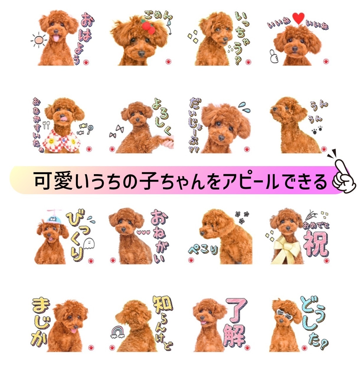 貴方の可愛いペット写真でLINEスタンプ作ります 愛するうちの子ちゃんを周りにアピールできるスタンプ イメージ2