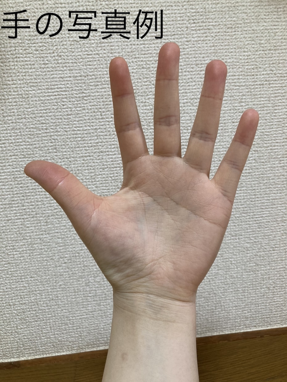 手相占いで人生のアドバイスをします 半年で60件以上実績のある占い師があなたの悩みを解決します！ イメージ2