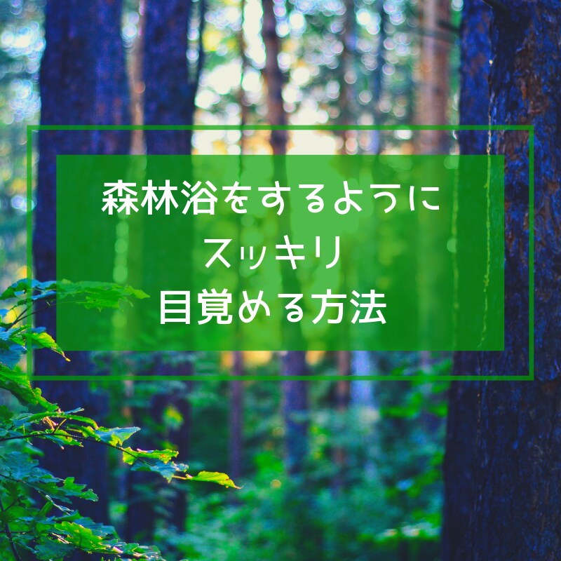 森林浴をするようにスッキリ目覚める方法を教えます 眠れた実感が無いほど寝不足でも、翌朝元気になれる3つの秘密 イメージ3