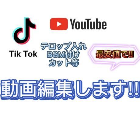 tictok.リールなどの短編動画編集いたします 短編動画の編集を行わしてもらいます イメージ1