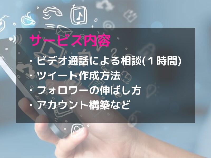 Twitter運用の悩み相談にのります １万フォロワー越えのインフルエンサーが全て丁寧に説明 イメージ2