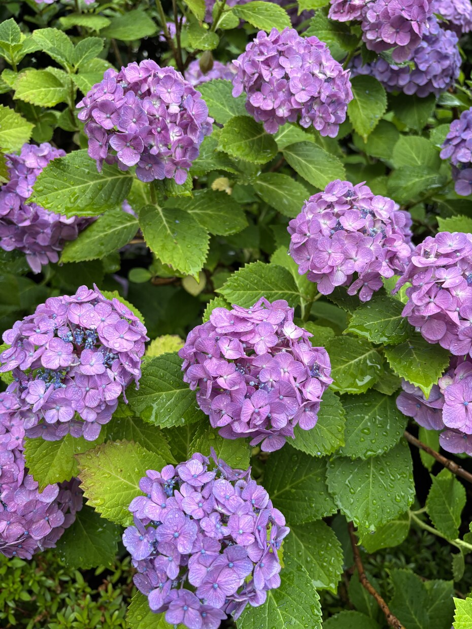 悩み身近な人に言いずらいこと相談、雑談も聞きます 1人で抱え込まずお気軽にお話しください。 イメージ1