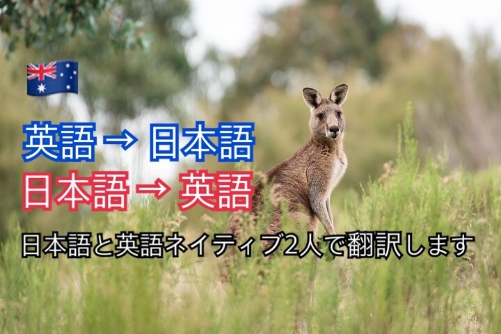 ネイティブと2人で翻訳します 【海外住み】日→英、英→日の翻訳、校正承ります イメージ1