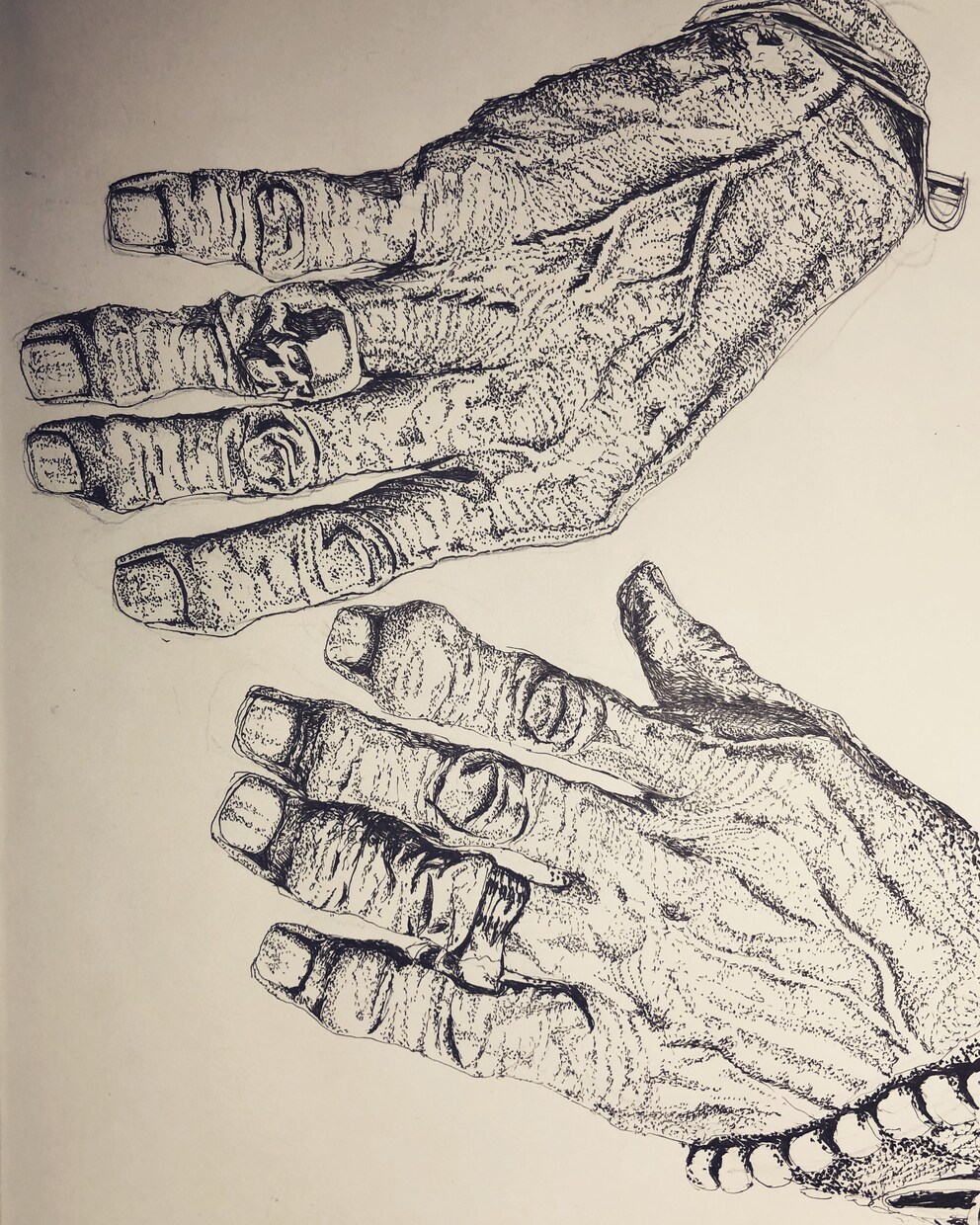 線画、描きます お気に入りの写真を、線で分解します。 イメージ1