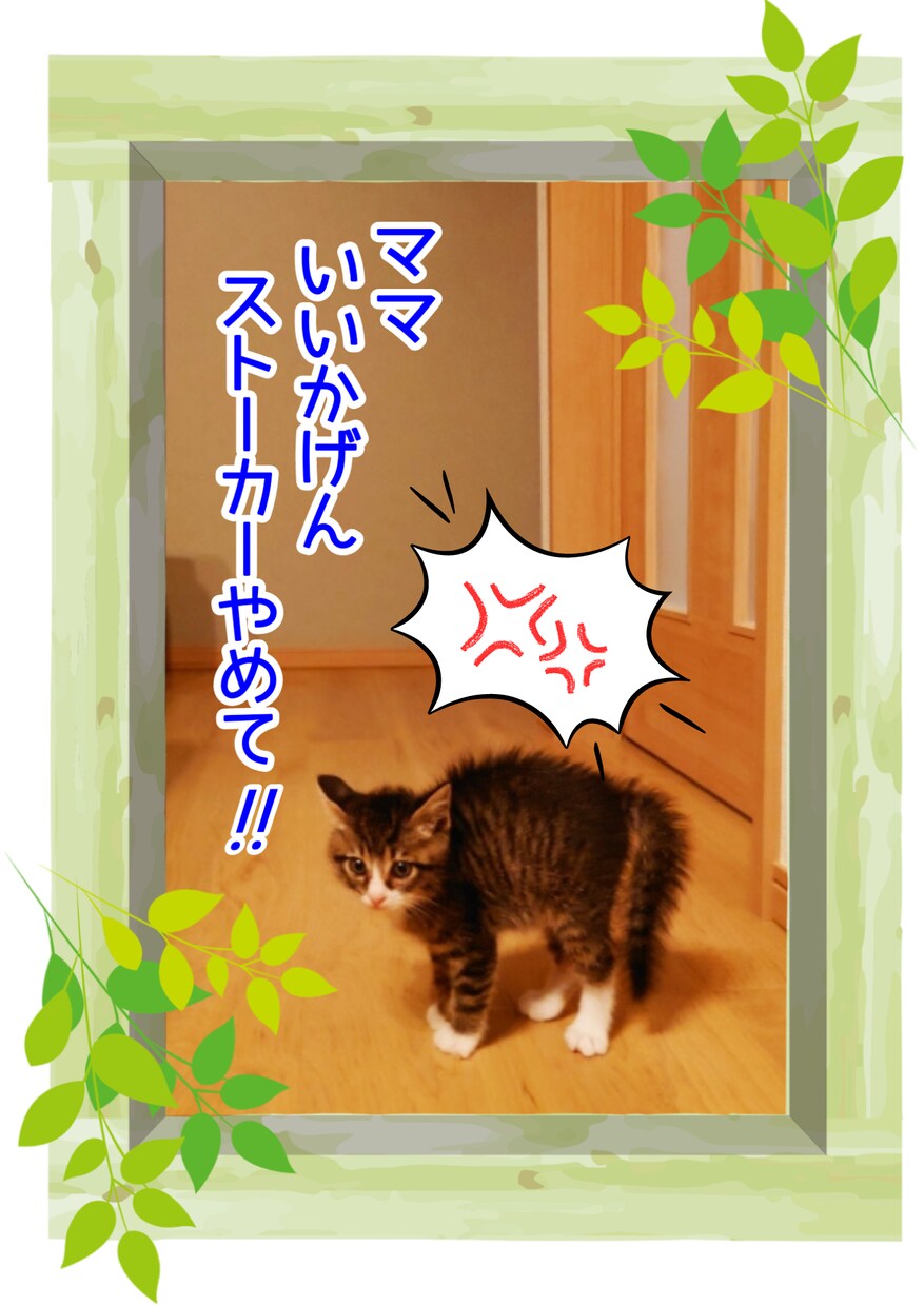 ペットの写真をアレンジしてご提供いたします ペットの写真をさらに可愛らしく、または面白く画像加工します♪ イメージ3