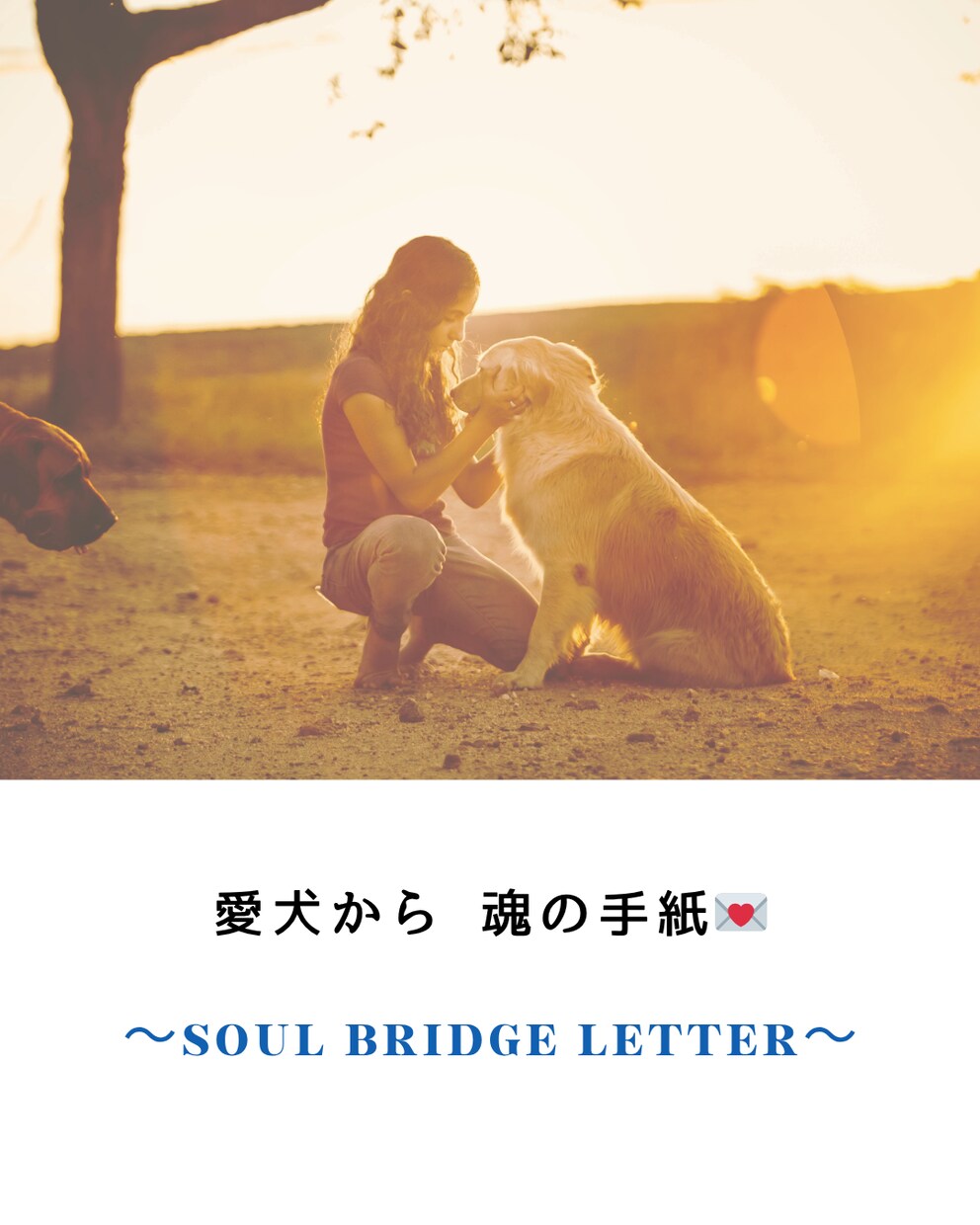 喋れない愛犬の想いを魂の手紙としてお届けします 愛犬との絆を深め、あなた自身の本当の声に気づく☆ イメージ1