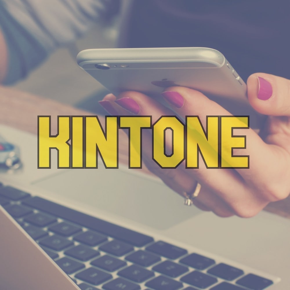 ちょっとしたkintoneカスタマイズ代行します 「ここがもっと〇〇なら良いのに」…を実現します イメージ1