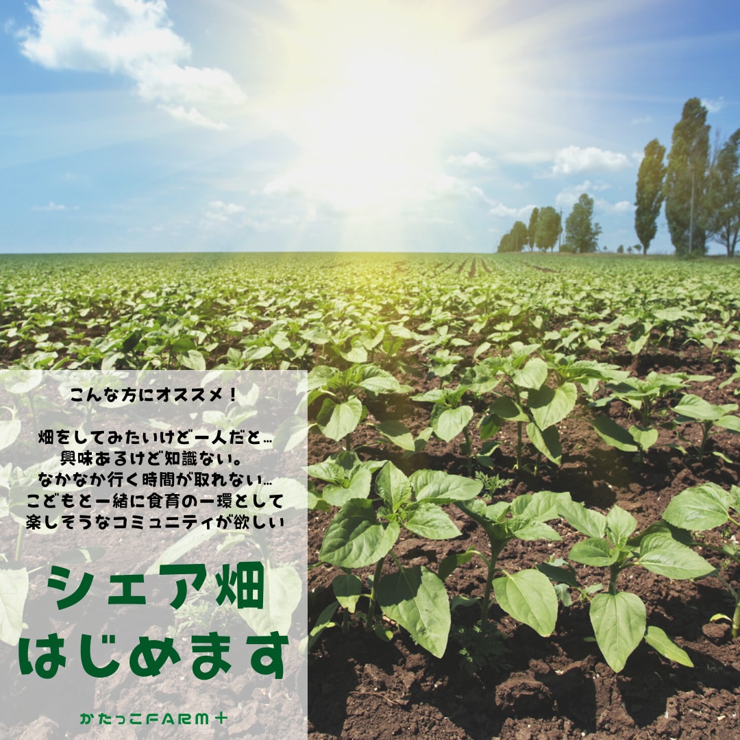 ポスター、フライヤー制作します イベントチラシ作成やお店の紹介フライヤーなど作成 イメージ5