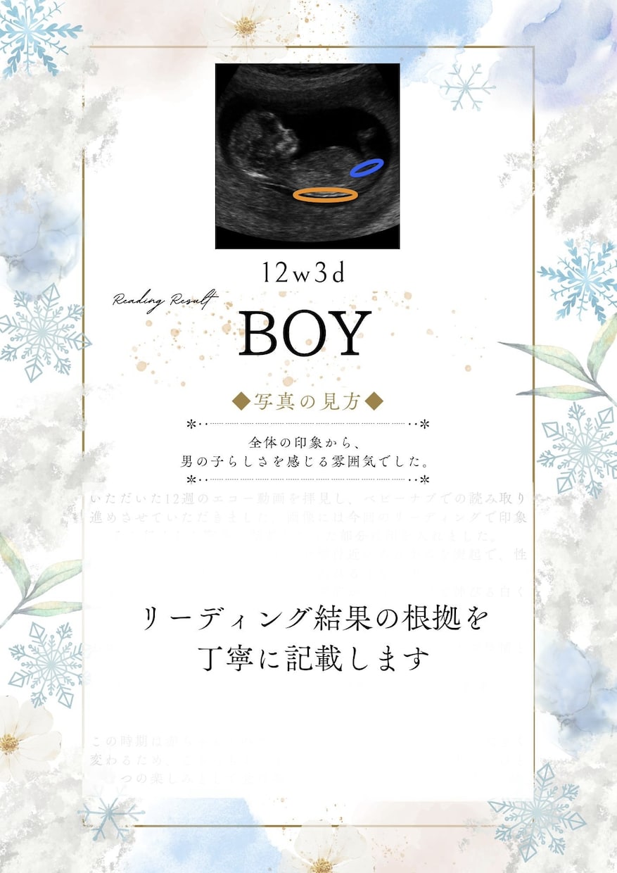 詳細版★即納！妊娠初期、エコー写真で性別予測します 6週目〜OK◎赤ちゃんの性別をベビーナブ、外性器で見ます イメージ10